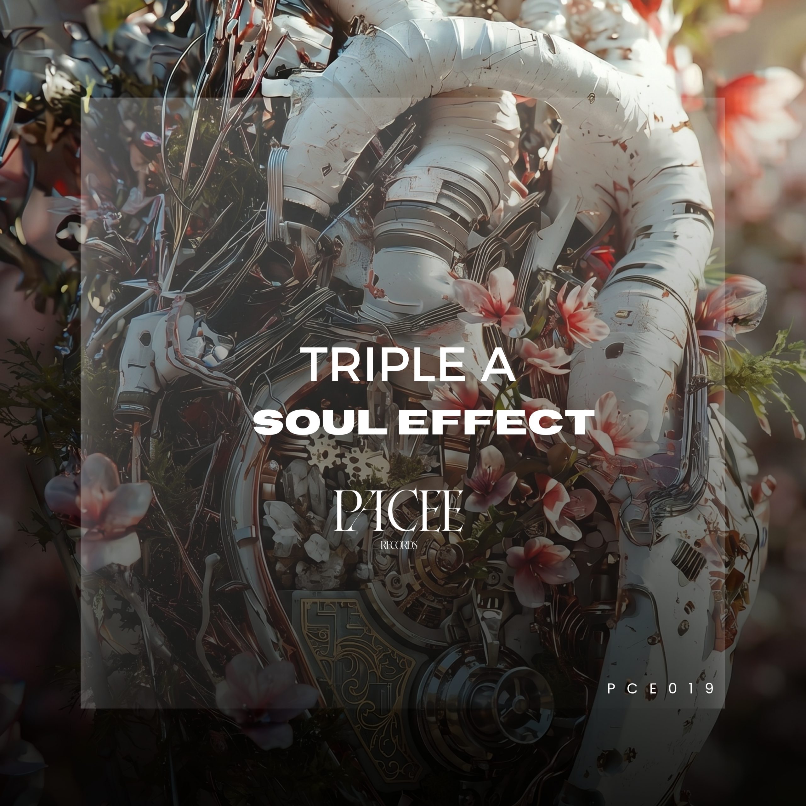 soul effect - cover